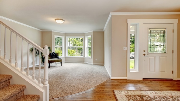 Carpet vs. Hardwood: Which Flooring is Right for Your Home?