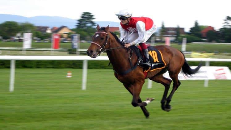 Breeders’ Cup Classic Top 5 Rankings: Fierceness Still the One to Beat Fierceness