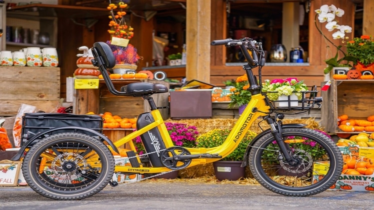 Affordable Urban Mobility: The Best Value Addmotor Folding E-Trike Addmotor Folding E-Trike