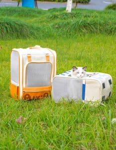 Why Choose the Best Cat Backpack for Your Feline