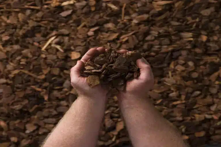 Get Mulch in Bulk