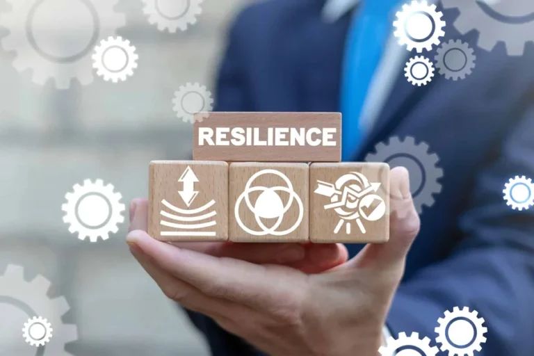 Supply Chain Resilience