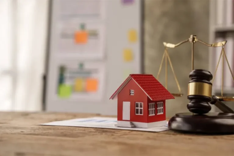 Lawyers