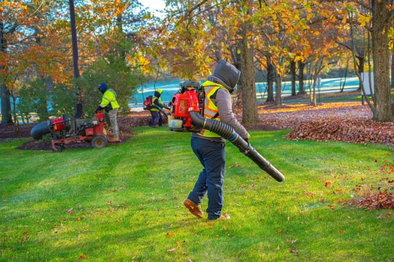 Leaf Cleanup Strategies for Properties With Trees of Different Heights Leaf Cleanup